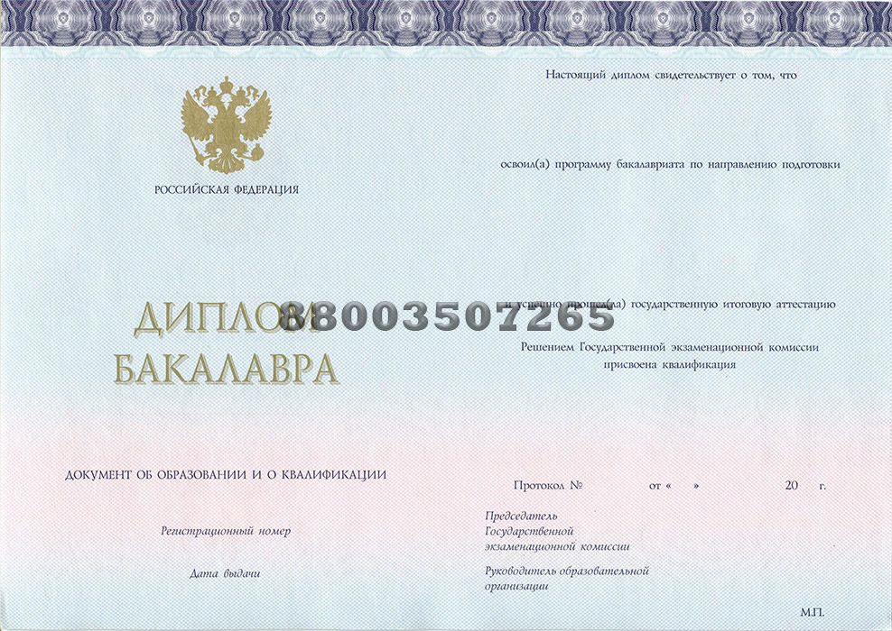 Диплом бакалавра (ООО Знак) с 2014 по 2024 год.